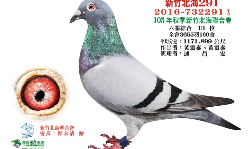 芡实产品有哪些专区_芡实粉是什么专区_芡实营养粉市场前景网