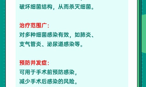 芡实产品有哪些专区_芡实粉是什么专区_芡实营养粉市场前景网