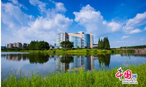芡实产品有哪些专区_芡实粉是什么专区_芡实营养粉市场前景网
